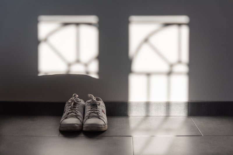 Sustainable Sneakers